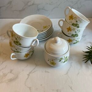Vintage Rare Floral Richard Ginori Italian Cup & Saucer 7 piece China Set Dining
